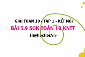 Bài 5.9 SGK Toán 10 tập 1 Kết nối tri thức